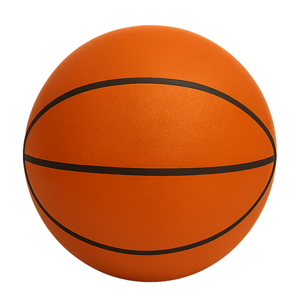 Quiet Bounce Basketball Indoor Training Ball