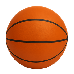 Quiet Bounce Basketball Indoor Training Ball