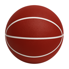 Quiet Bounce Basketball Indoor Training Ball