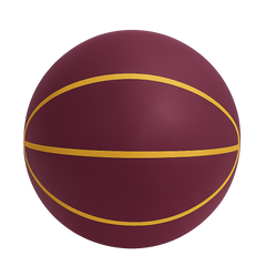 Quiet Bounce Basketball Indoor Training Ball