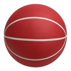 Quiet Bounce Basketball Indoor Training Ball