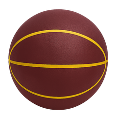 Quiet Bounce Basketball Indoor Training Ball
