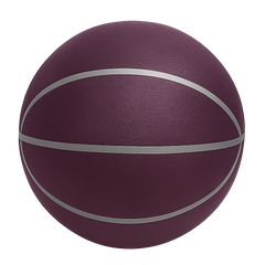 Quiet Bounce Basketball Indoor Training Ball