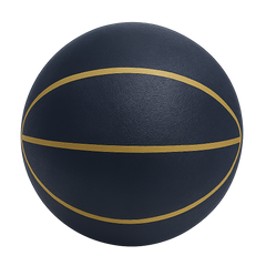 Quiet Bounce Basketball Indoor Training Ball